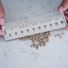 โหลดรูปภาพลงในเครื่องมือใช้ดูของ Gallery BREWLER (พร้อมจัดส่ง อัพเดท 13.05.2023)