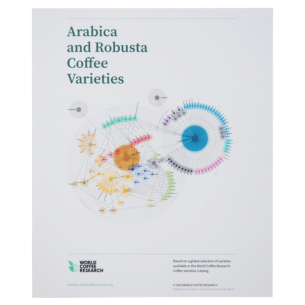 Arabica and Robusta Coffee Varieties (กรอบลอย)