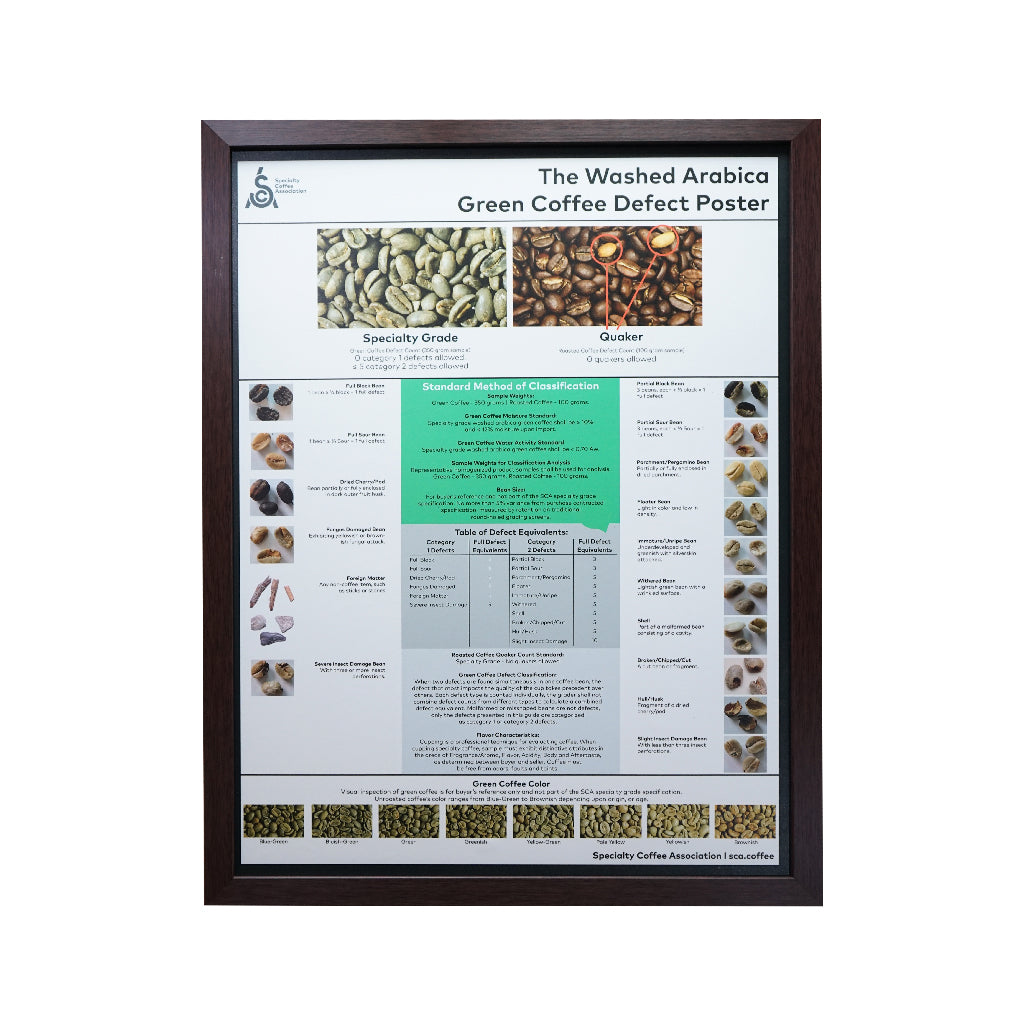Defect Poster Poster พร้อมกรอบรูป Flavor Wheel / Greenbean Defect – Intercof ...